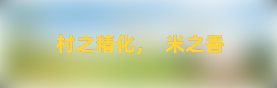 南京水門電子有限公司